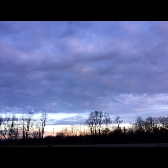 taylornorton10